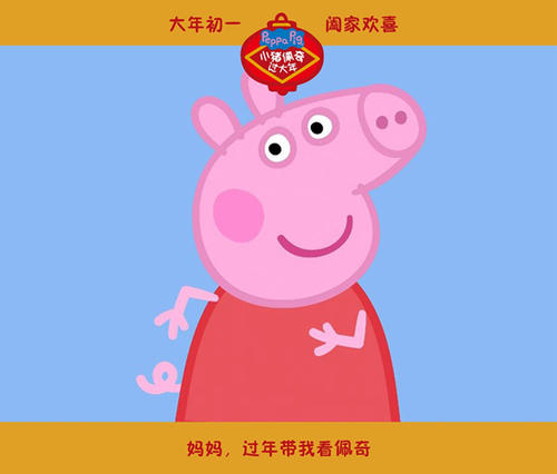 乌耳苏拉学院Accounting Diploma